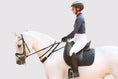 Load image into Gallery viewer, 3-in-1 Training Breastplate
