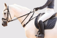 Load image into Gallery viewer, 3-in-1 Training Breastplate

