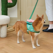 Flora Pet Harness & Backpack 3-in-1 Set