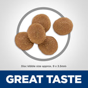 Hill's Science Diet Adult Sensitive Stomach & Skin Chicken & Rice Recipe Dry Cat Food Bag 