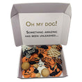 Load image into Gallery viewer, Halloween Themed Dog Treats Gift Box
