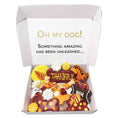Load image into Gallery viewer, Thankful Themed Dog Treats Gift Box
