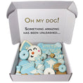 Load image into Gallery viewer, Winter Themed Dog Treats Gift Box
