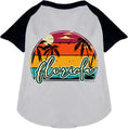 Load image into Gallery viewer, Custom Retro Beach Sunset Pet Raglan Shirts
