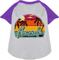 Load image into Gallery viewer, Custom Retro Beach Sunset Pet Raglan Shirts
