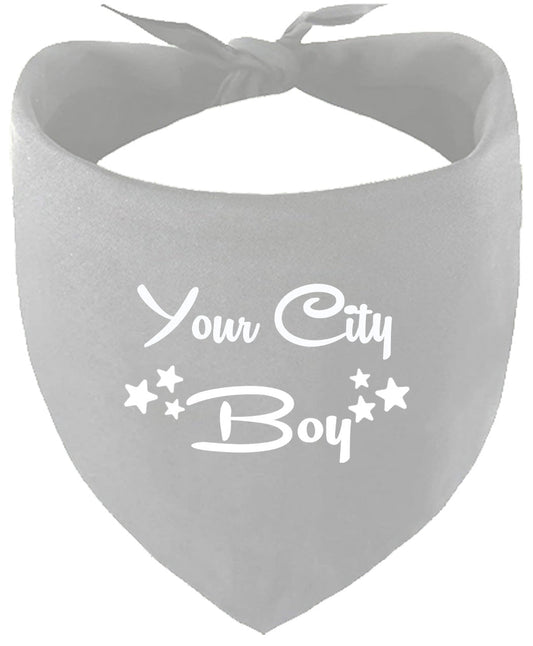 Custom Boy Pet Bandana