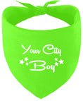 Load image into Gallery viewer, Custom Boy Pet Bandana
