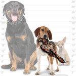 tuffy® Desert Series - Vurn Vulture