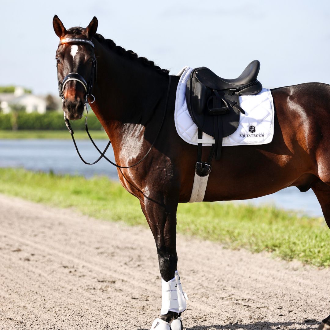 Southlake Paws B&W White Saddle Pad Set on a brown horse, featuring a sleek design and matching leg wraps by a waterway.