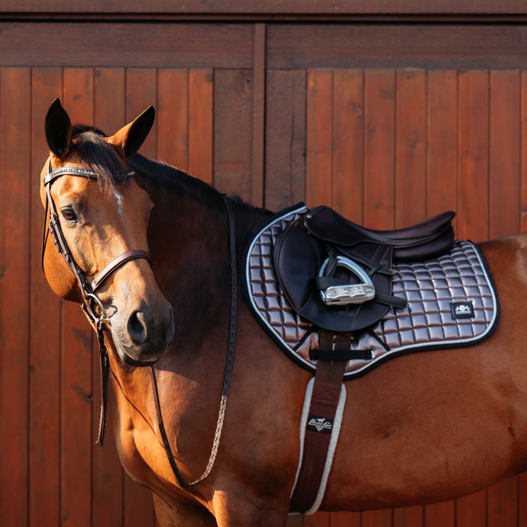 Southlake Paws Spaceship Grey Saddle Pad Set on a brown horse, featuring a quilted design and matching saddle.
