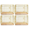 Load image into Gallery viewer, 24-42" Collapsible Copper Gold Dog Crate GLD24-42
