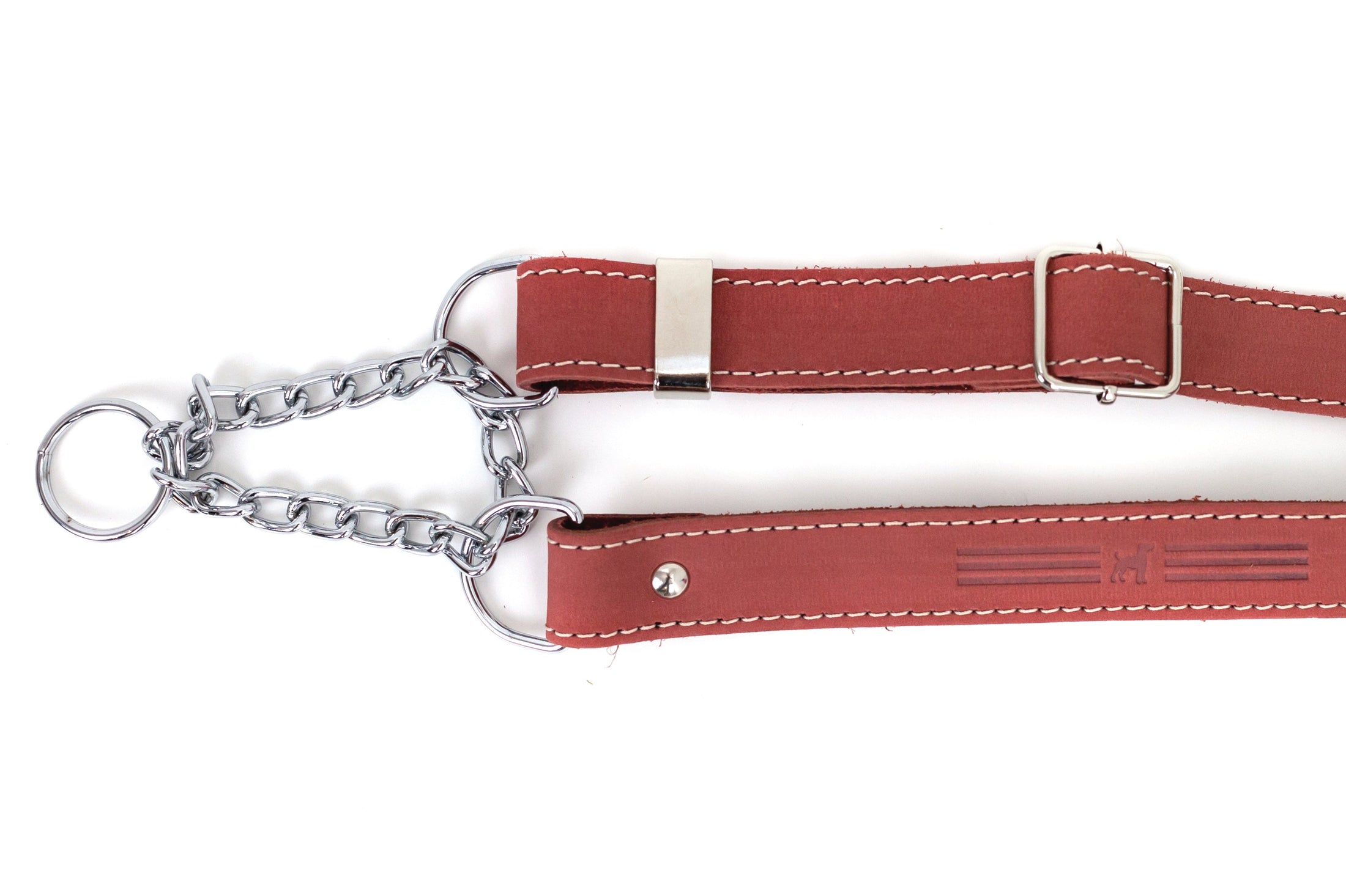 Martingale Coral Reef Leather Dog Collar - image 3