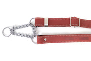 Martingale Coral Reef Leather Dog Collar