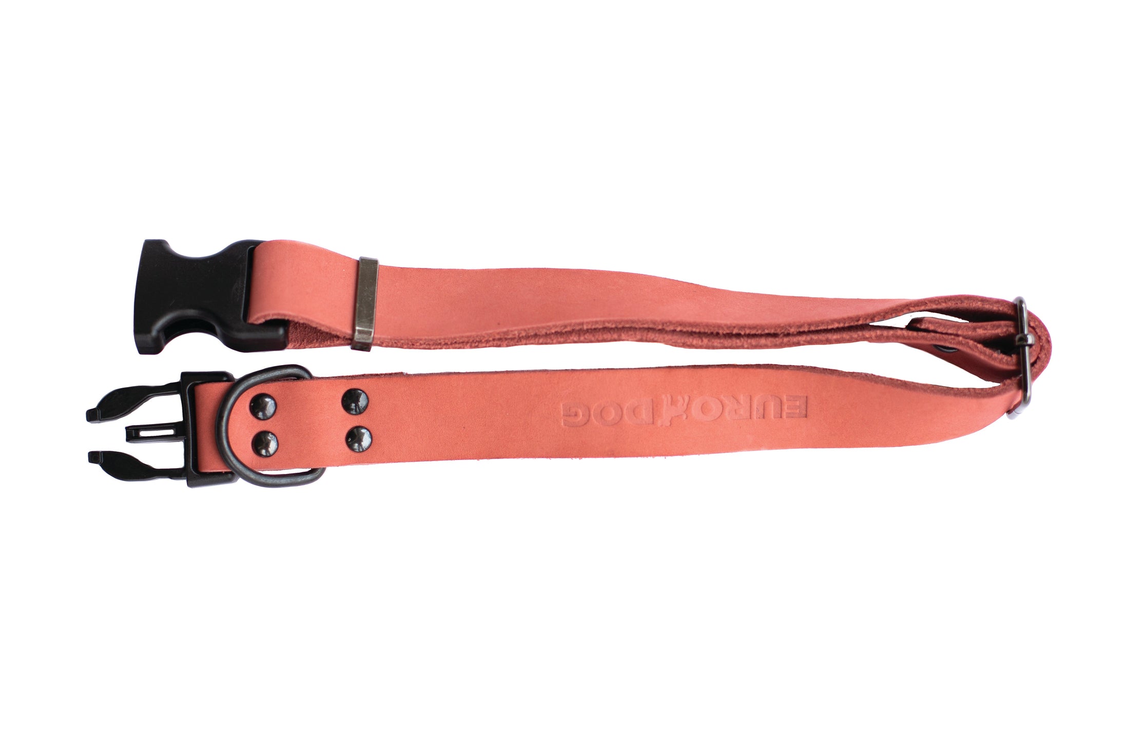 Sport Style Coral Reef Leather Dog Collar - image 3