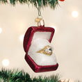 Load image into Gallery viewer, Ring In Box Ornament - Southlake Paws
