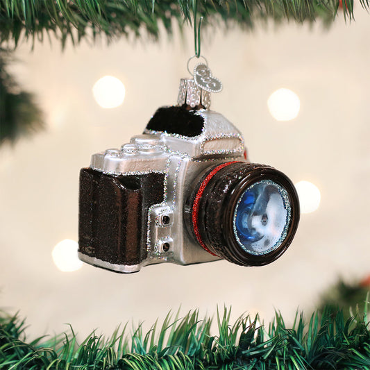 Camera Ornament - Southlake Paws