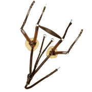 ExionPro 5 Point Breastplate with Sheepskin Padding - Matching Elastic