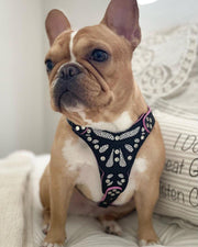 The ''Ariel'' harness Small to Medium Size 