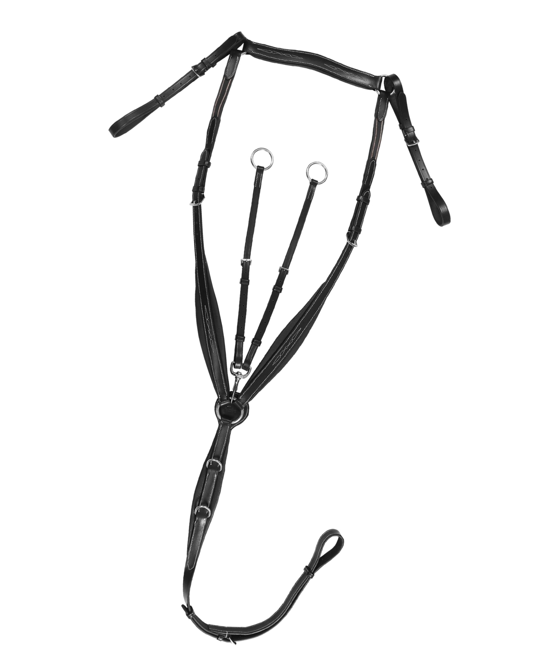 ExionPro Wings Breastplate - Southlake Paws