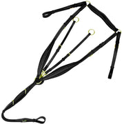 ExionPro Wings Breastplate