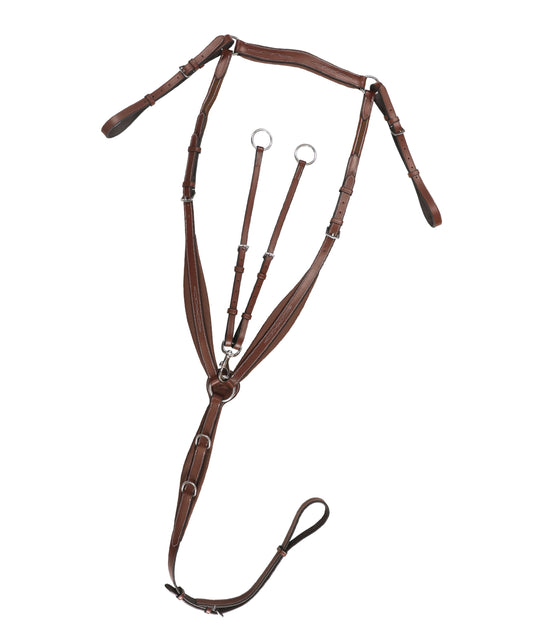 ExionPro Wings Breastplate - Southlake Paws