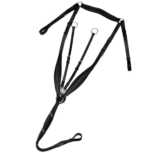 ExionPro Wings Breastplate