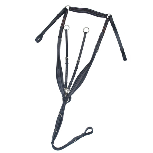 ExionPro Wings Breastplate