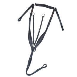 ExionPro Wings Breastplate