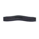 ExionPro Wings Breastplate