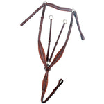 ExionPro Wings Breastplate