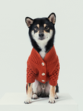 Load image into Gallery viewer, BERT CARDIGAN SWEATER - ORANGE
