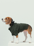 Load image into Gallery viewer, BERT CARDIGAN SWEATER - DARK GREEN
