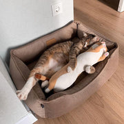 Velvet Cat Bed Dreamer