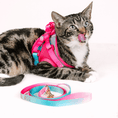 Load image into Gallery viewer, Stasia Cat Harness & Leash Set
