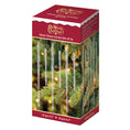 Load image into Gallery viewer, Clear Glass Icicles Set Of 24 Ornament - Southlake Paws

