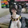 Load image into Gallery viewer, The "Bijou" handmade puppy collar
