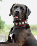 Load image into Gallery viewer, "Bijou" collar black & red
