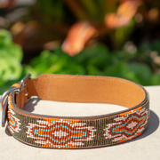 Boho Chic Sambboho dog collar