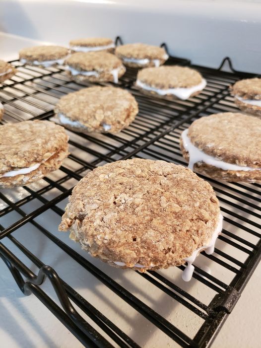 Oatmeal Organic Cream Pie Dog Treats