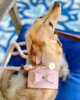 Load image into Gallery viewer, HARNESS - BELLA ROSE
