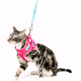 Load image into Gallery viewer, Stasia Cat Harness & Leash Set
