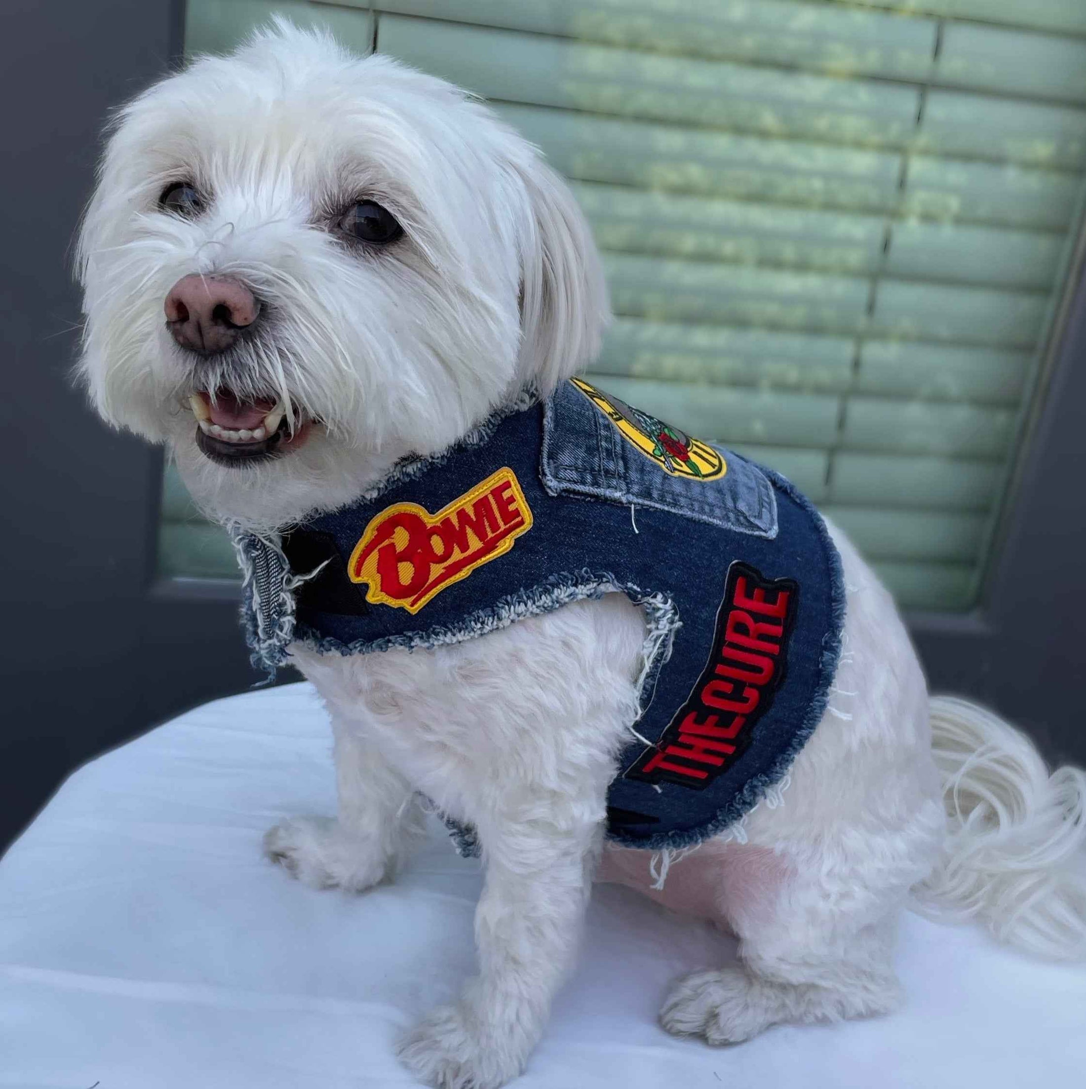 The Who Harness