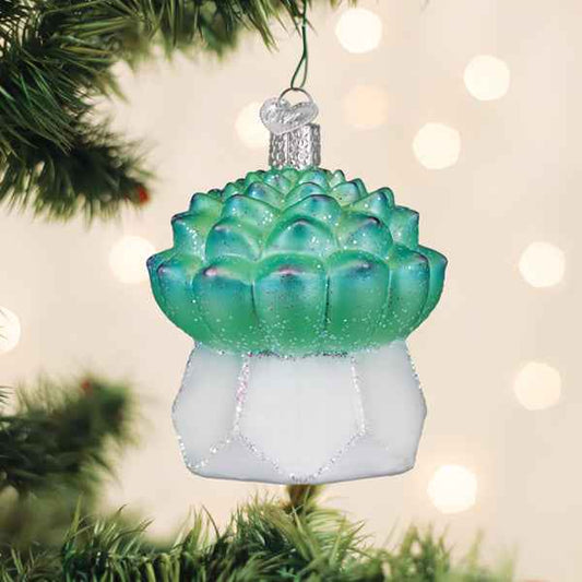 Echeveria Succulent Ornament