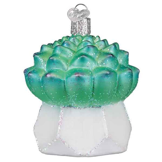 Echeveria Succulent Ornament