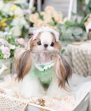Luxury design dog Lacy Princess Puff Dress 