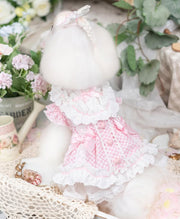 Luxury design dog Lacy Princess Puff Dress 