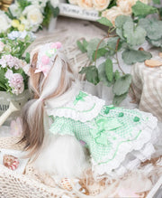 Luxury design dog Lacy Princess Puff Dress 