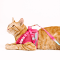 Load image into Gallery viewer, Stasia Cat Harness & Leash Set
