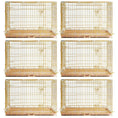 Load image into Gallery viewer, 24-42" Collapsible Copper Gold Dog Crate GLD24-42
