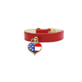 Load image into Gallery viewer, Patriotic Charm Dog Collar
